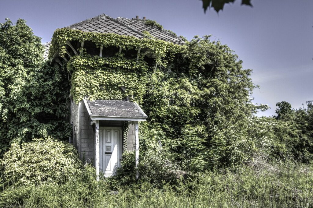 Que peut faire une commune des parcelles abandonnées sur sa commune ?